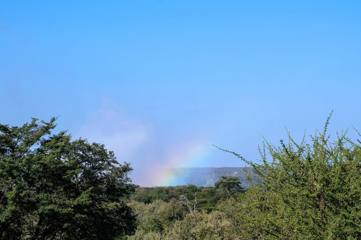 Ilala Lodge Hotel 3